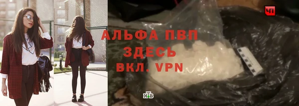эйфоретик Няндома