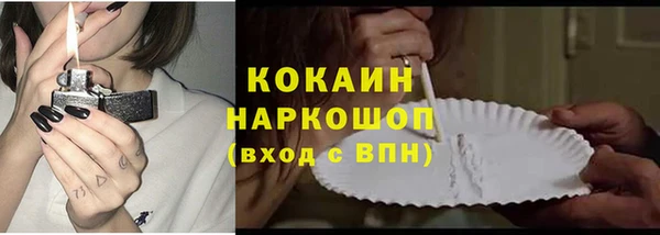 эйфоретик Няндома