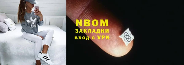 эйфоретик Няндома