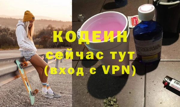 эйфоретик Няндома