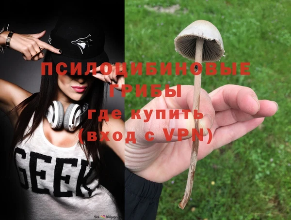 PSILOCYBIN Дмитров