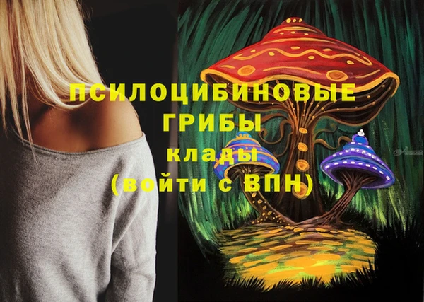 гидропоника Нягань