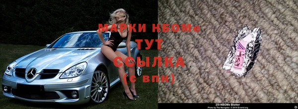 эйфоретик Няндома