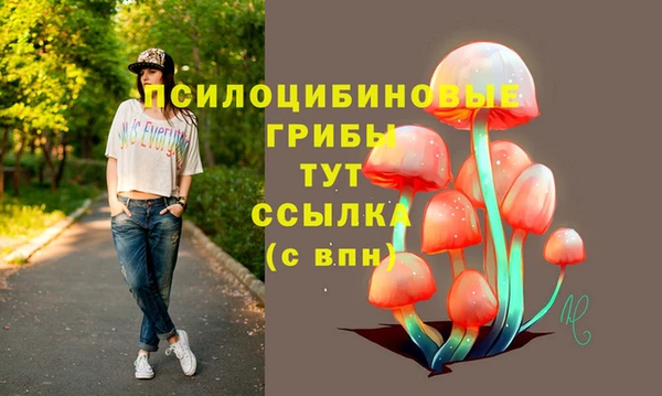 эйфоретик Няндома