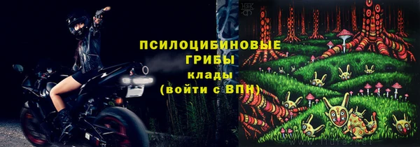 гидропоника Нягань
