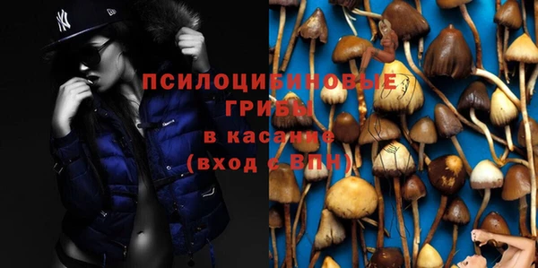 МДМА Нязепетровск