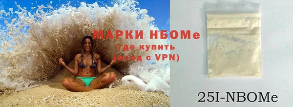 эйфоретик Няндома