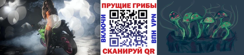 продажа наркотиков  Красновишерск  Галлюциногенные грибы Cubensis 